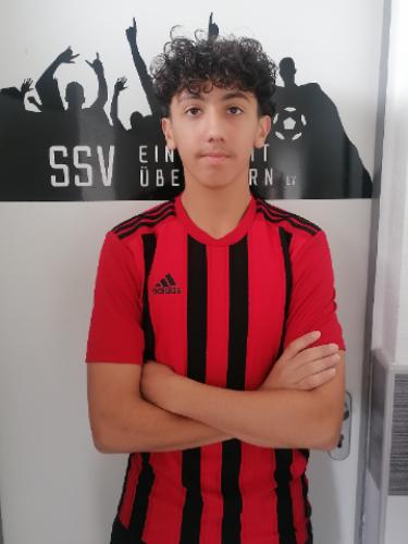 Anas Kodmani