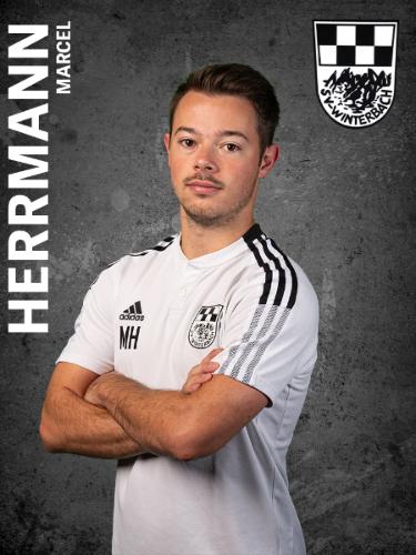 Marcel Herrmann