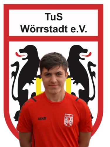 Nils Andreas Martin Friedel