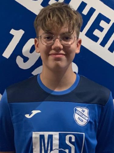 Konstantin Gabriel Noll