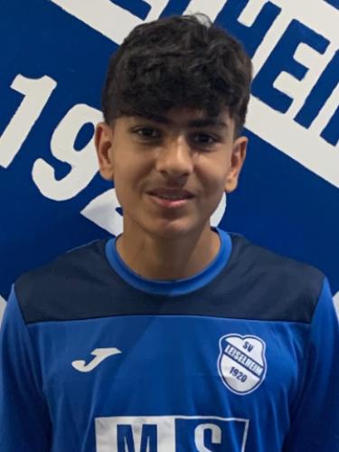 Mohammad Amin Rastegar