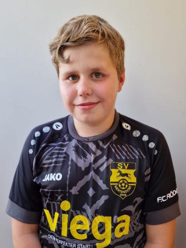 Theo Sarau