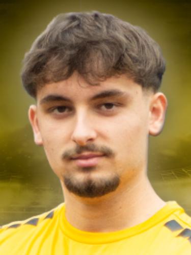 Dogan Mehmetoglou
