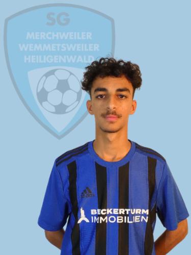 Ali Salih Mahdi Alshareef