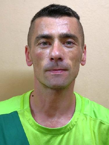 Milovan Ilisin
