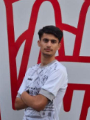 Samander Arjubi