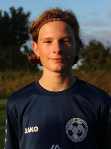 Henri Alexander Scheel