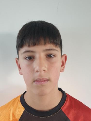 Mehmet Sahin
