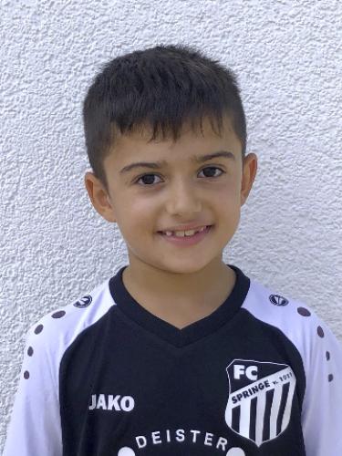 Amil Ziljkic