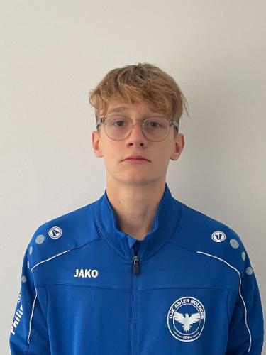 Arvid Karweina