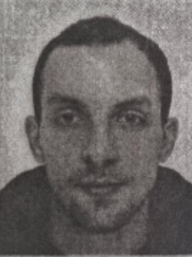 Domenic René Henke