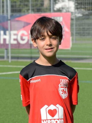 Emir Gül