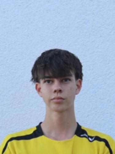 Oscar Heinrich