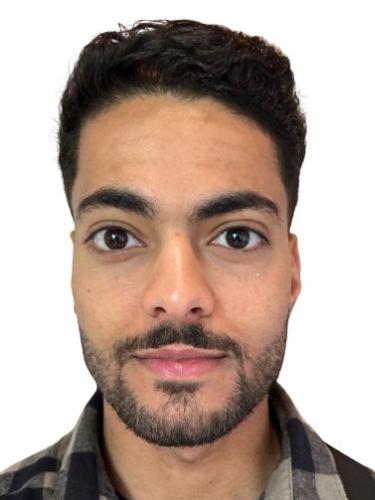 Ayman Sayid Saeid Sareer