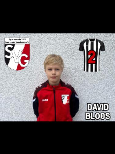 David Bloos