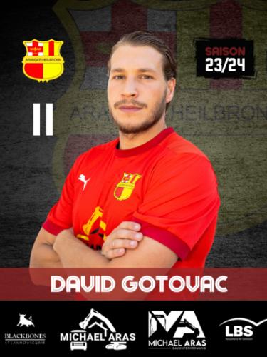 David Gotovac