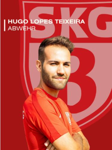 Hugo Manuel Lopes Teixeira