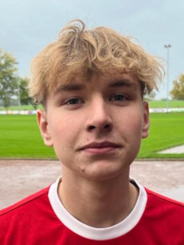 Louis Walter Hartung