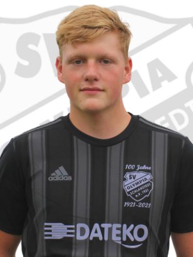 Finias Heinrich Paarmann