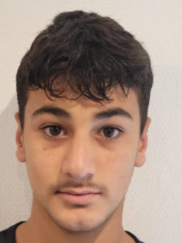 Ali Mohammed