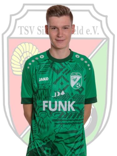 Fabian Traub