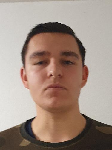 Mirko Blagojevic