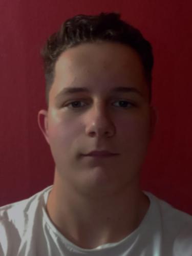 Niclas Brückner