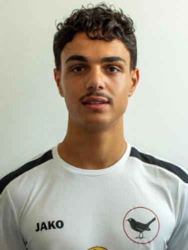 Hano Garmiani