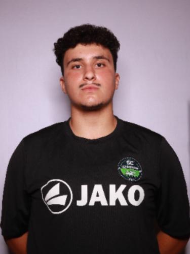 Ali-Haydar Hallaceli