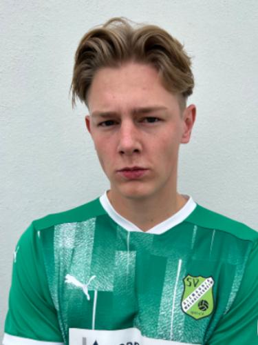 Felix Baptist Van Den Dool