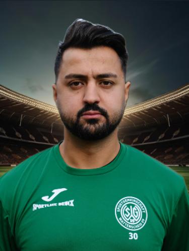 Aslan özen