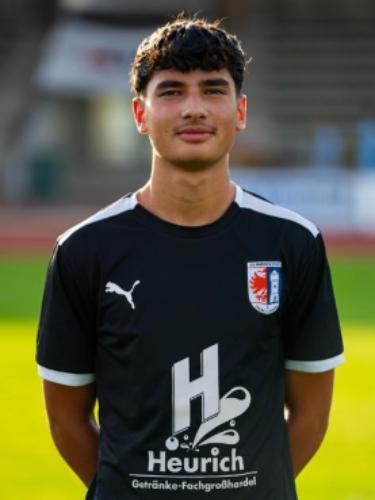 Teo Mesaric