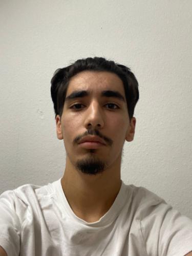 Ali Ismail
