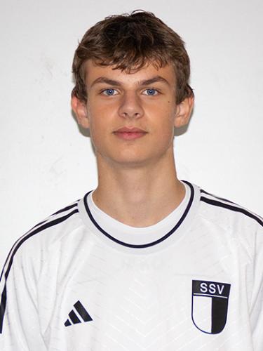 David Steins