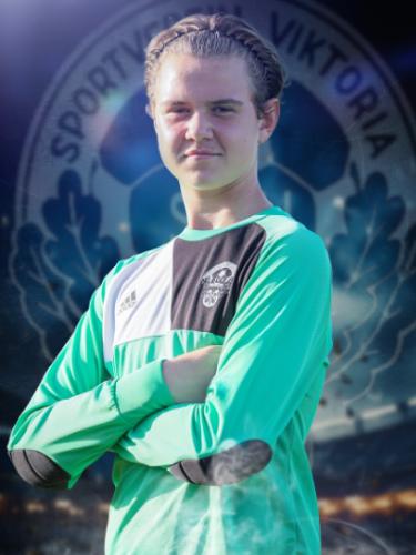 Aleksandar Tsiaparis