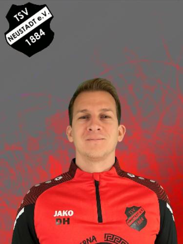 Dominik Hallstein
