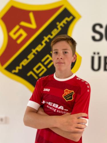 Johannes Gaus