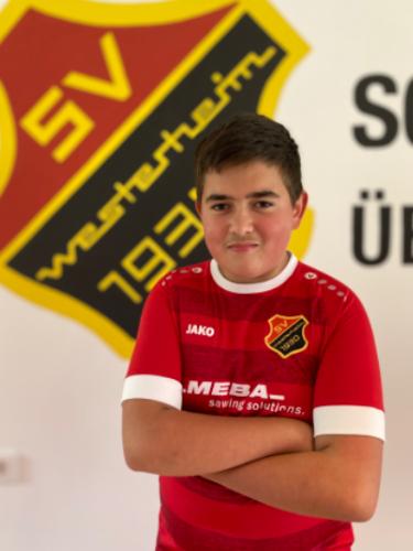Flavio Jauss
