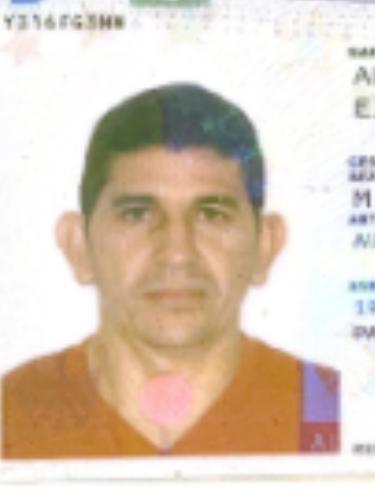Elmer David Alvarado Mejias