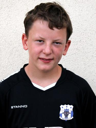 Theo Baetke