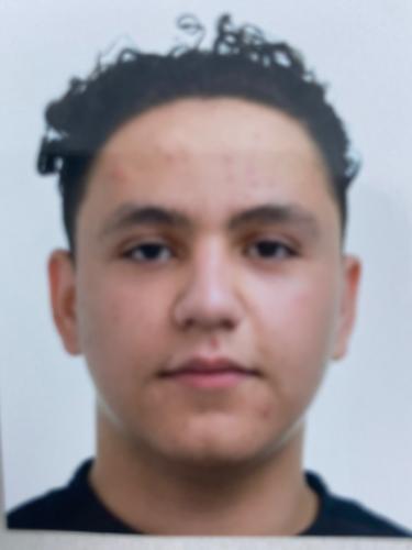 Mohamad Aldali Mousa