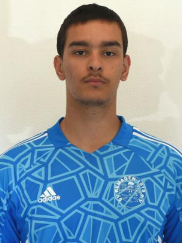 Ammin Mohamed Dehini