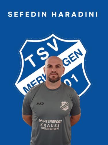 Sefedin Haradini
