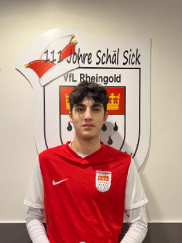Ervin Mamedov