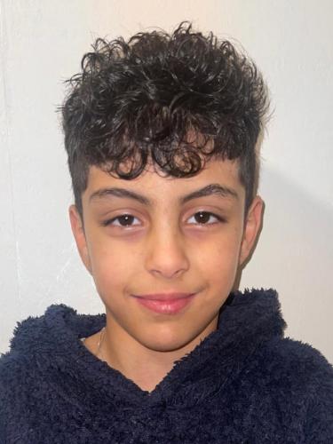 Anas Sara