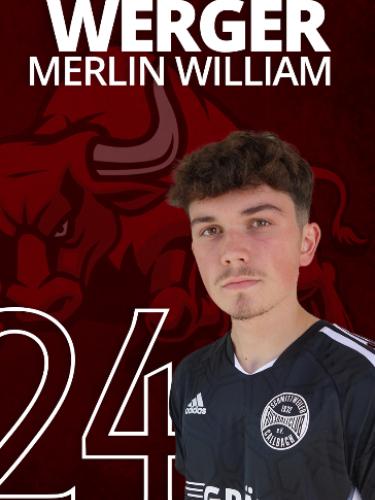 Merlin William Werger