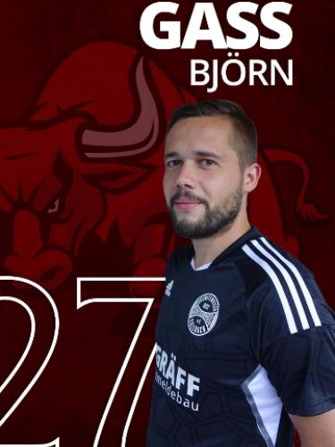 Bjoern Gass