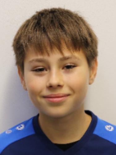 Silviu Budescu