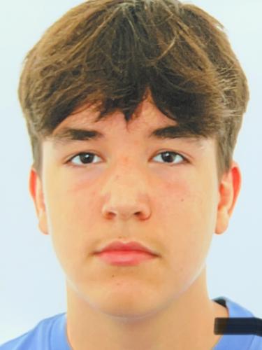 Dominik Azkdari