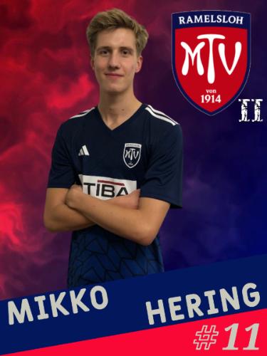 Mikko Hering